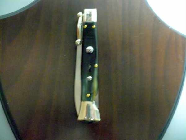 Seinguard A.G.A. Campolin - italian stiletto 23 cm - corno di bufalo brasiliano - lama baionetta - 11