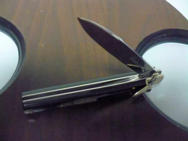 Dominus A.G.A. Campolin "The Lord"- italian stiletto 23 cm - brazilian buffalo horn - 3