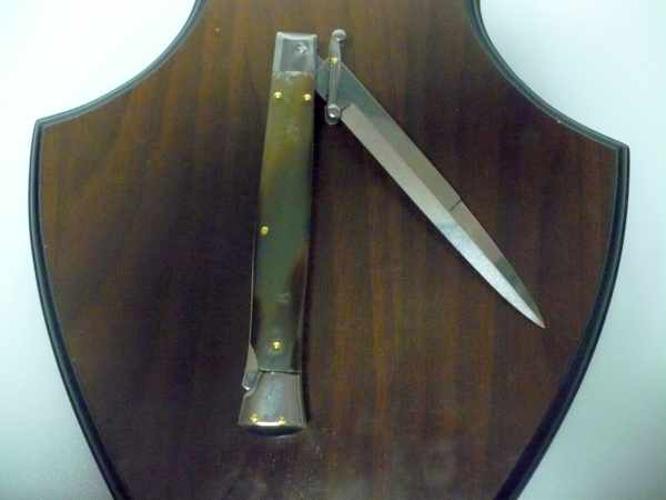 Swinguard Frank Beltrame - italian stiletto 28 cm - bufalo bicolore / two-tone buffalo horn - baionetta FB 550/48/58BB