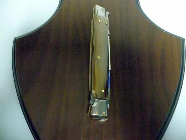 Swinguard Frank Beltrame - italian stiletto 28 cm -bufalo chiaro - lama baionetta FB 550/48B - 14
