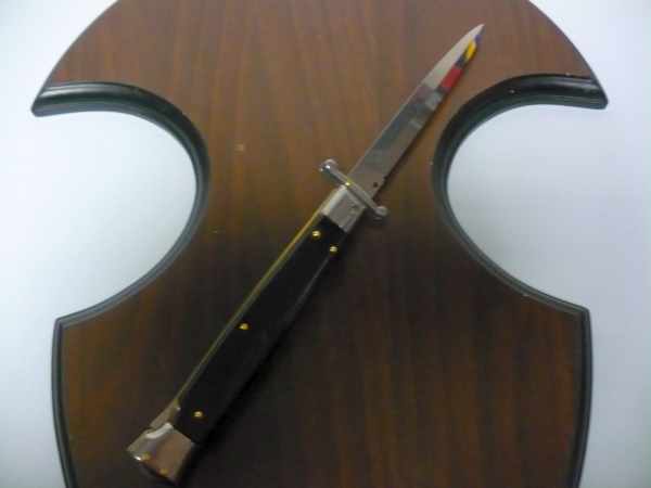 Swinguard Frank Beltrame - italian stiletto 28 cm -corno di bufalo / buffalo horn - baionetta FB 550/58B - 19