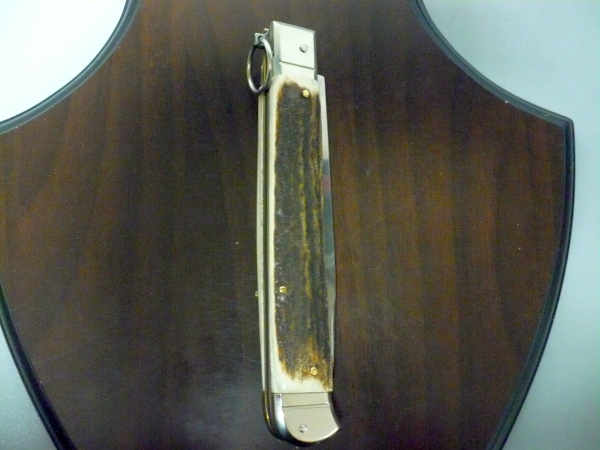 Famiglia Spadon - stiletto falcon /28 - corno di cervo / deer horn - lama a swedge vecchio stile - 4