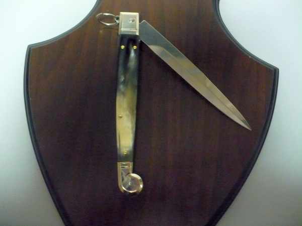 Siciliano A.G.A. Campolin sicilian fighting - italian stiletto 30 cm - brazilian buffalo horn - 3