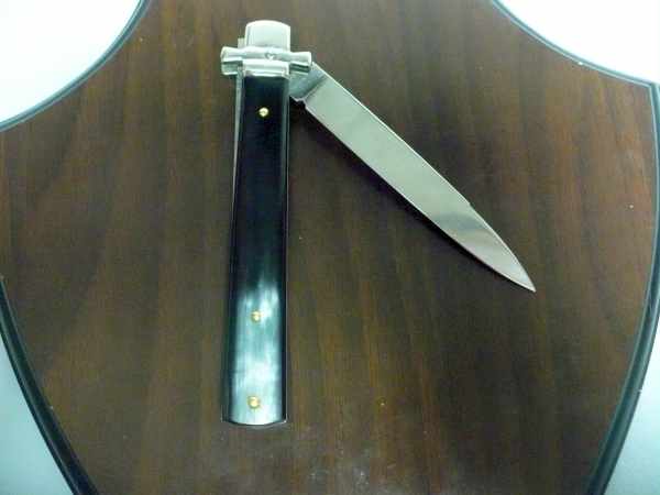Dominus A.G.A. Campolin "The Lord"- italian stiletto 23 cm - brazilian buffalo horn - 1