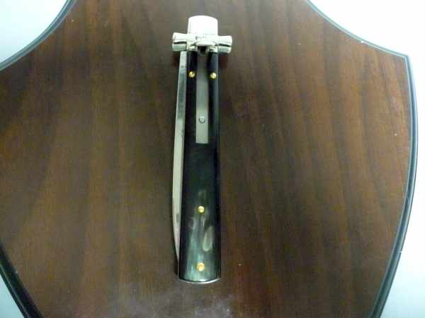 Dominus A.G.A. Campolin "The Lord"- italian stiletto 23 cm - brazilian buffalo horn - 1