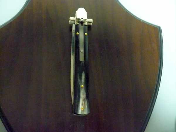 Dominus A.G.A. Campolin "The Lord"- italian stiletto 23 cm - brazilian buffalo horn - 2