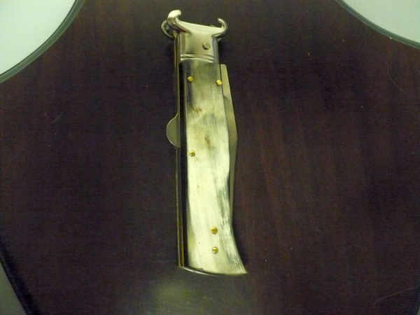 Famiglia Spadon - stiletto calibro /20 - bufalo brasiliano - taglio classico clip point - 11