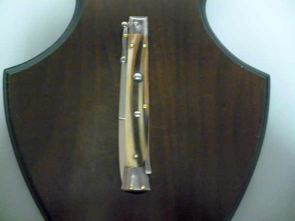 Swinguard Frank Beltrame - italian stiletto 28 cm - punta di corno di bufalo chiaro - lama baionetta  FB 550/48 - 1