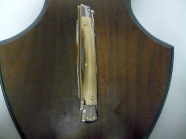 Swinguard Frank Beltrame - italian stiletto 28 cm - punta di corno di bufalo chiaro - lama baionetta  FB 550/48 - 1
