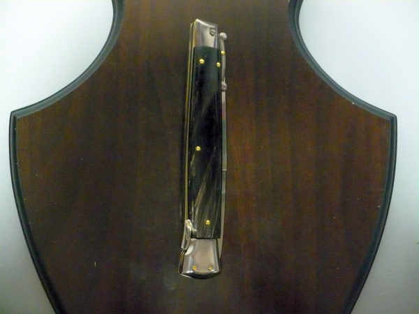 Swinguard Frank Beltrame - italian stiletto 28 cm - corno di bufalo scuro - lama baionetta FB 550/58- 1