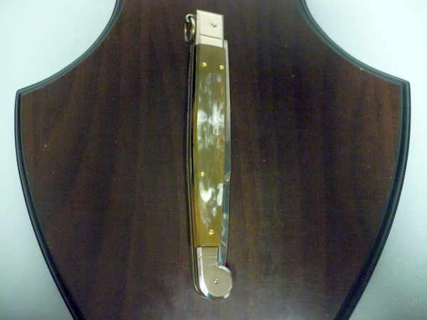Siciliano A.G.A. Campolin sicilian fighting - italian stiletto 30 cm - buffalo chiaro horn - 1