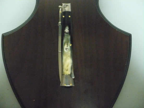 Swinguard Frank Beltrame - italian stiletto 28 cm - corno di bufalo brasiliano-FB 550/09 B-10