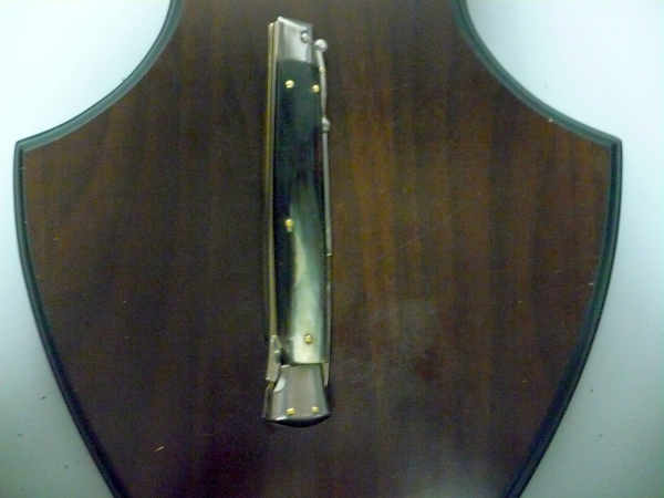 Swinguard Frank Beltrame - italian stiletto 28 cm - corno di bufalo brasiliano-FB 550/09 B-10
