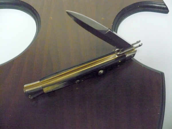 Swinguard Frank Beltrame - italian stiletto 28 cm - corno di bufalo brasiliano-FB 550/09 B-11