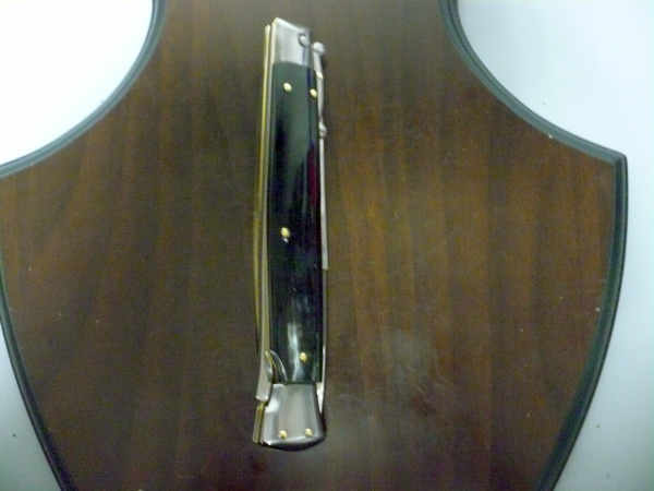 Swinguard Frank Beltrame - italian stiletto 28 cm - corno di bufalo brasiliano-FB 550/09 B-11