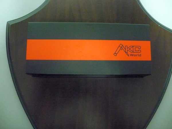 SHOPIFY ITALIAN STILETTO 