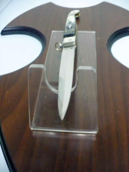 Siciliano A.G.A. Campolin sicilian fighting - italian stiletto 30 cm - brazilian buffalo horn - 2