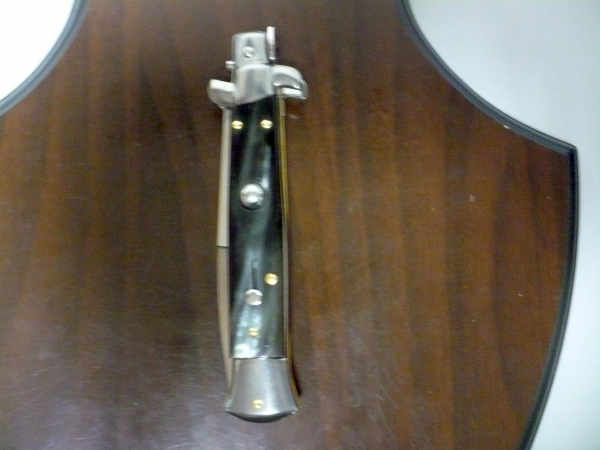 Italian stiletto - pugnale Frank Beltrame - 23 cm - corno di bufalo brasiliano , lama baionetta- FB 23/09B -11