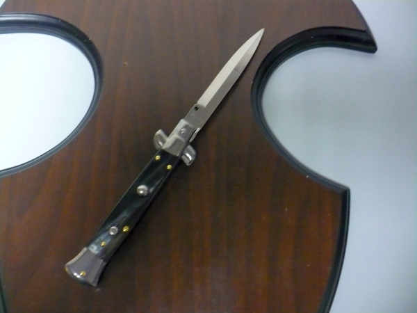 Italian stiletto - pugnale Frank Beltrame - 23 cm - corno di bufalo brasiliano , lama baionetta- FB 23/09B -11