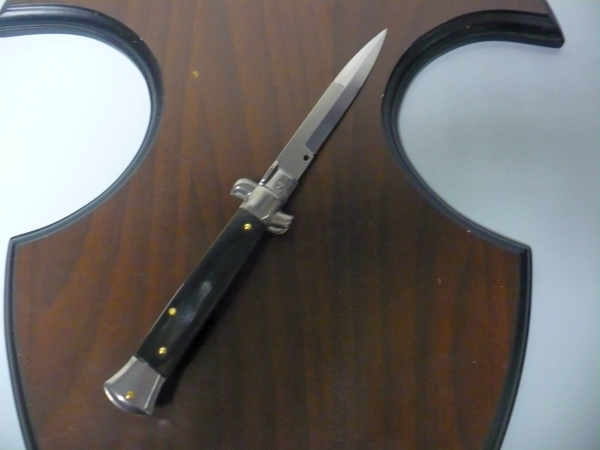 Italian stiletto - pugnale Frank Beltrame - 23 cm - corno di bufalo brasiliano , lama baionetta- FB 23/09B -11