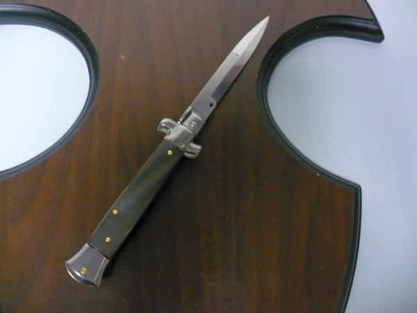 Italian stiletto - pugnale Frank Beltrame - 23 cm - corno di bufalo brasiliano , lama baionetta  -  FB 23/09B - 5