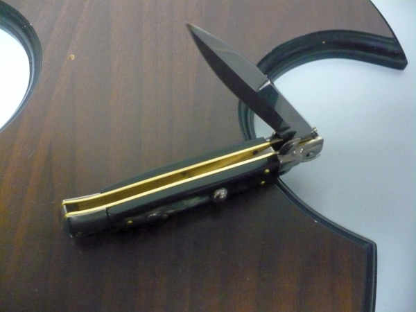 Italian stiletto - pugnale Frank Beltrame - 23 cm - corno di bufalo brasiliano , lama baionetta- FB 23/09B -1
