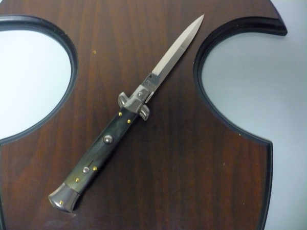Italian stiletto - pugnale Frank Beltrame - 23 cm - corno di bufalo brasiliano , lama baionetta- FB 23/09B - 13