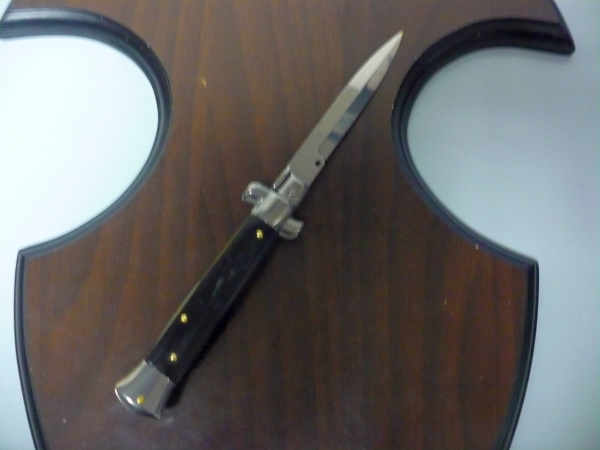Italian stiletto - pugnale Frank Beltrame - 23 cm - corno di bufalo brasiliano , lama baionetta- FB 23/09B - 13