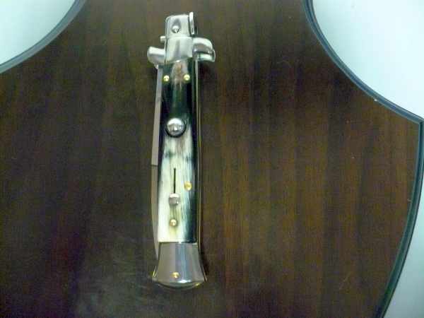 Italian stiletto - pugnale Frank Beltrame - 23 cm - corno di bufalo brasiliano , lama baionetta- FB 23/09B -2