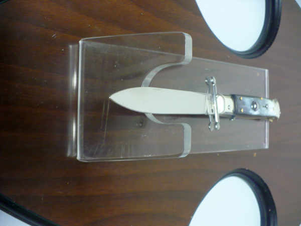 Swinguard A.G.A. Campolin - italian stiletto 23 cm - corno di bufalo brasiliano - lama classica - 3