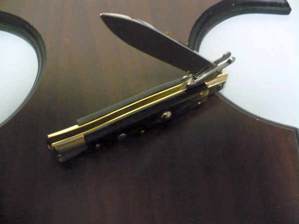Swinguard A.G.A. Campolin - italian stiletto 23 cm - corno di bufalo brasiliano - lama clssica - 4