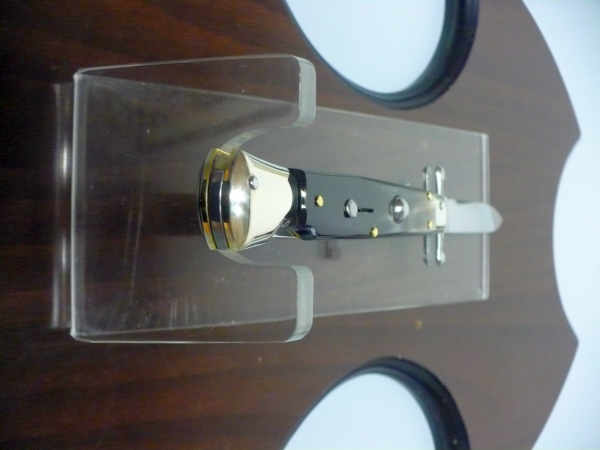 Swinguard A.G.A. Campolin - italian stiletto 23 cm - corno di bufalo brasiliano - lama clssica - 4