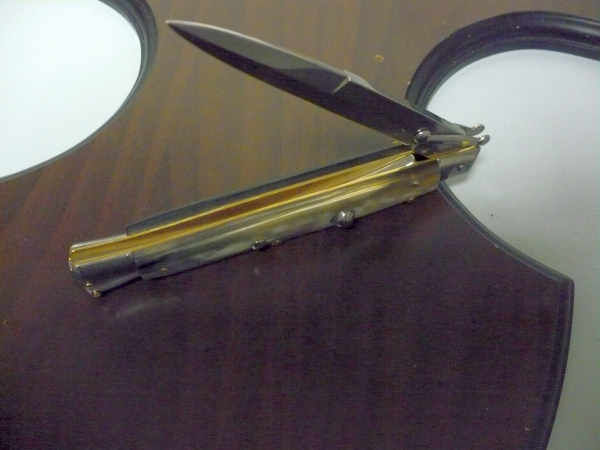 Swinguard Frank Beltrame - italian stiletto 28 cm - corno di bufalo brasiliano-FB 550/09 B-6