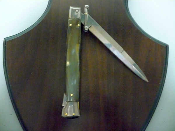 Swinguard Frank Beltrame - italian stiletto 28 cm - corno di bufalo brasiliano-FB 550/09 B-6
