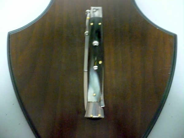 Swinguard Frank Beltrame - italian stiletto 28 cm - corno di bufalo brasiliano-FB 550/09 B-7