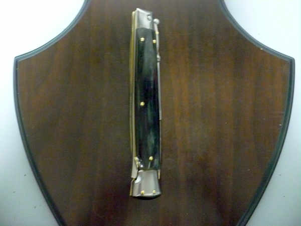 Swinguard Frank Beltrame - italian stiletto 28 cm - corno di bufalo brasiliano-FB 550/09 B-7