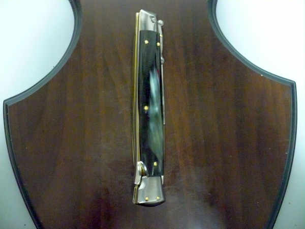 Swinguard Frank Beltrame - italian stiletto 28 cm - corno di bufalo brasiliano-FB 550/09 B-8