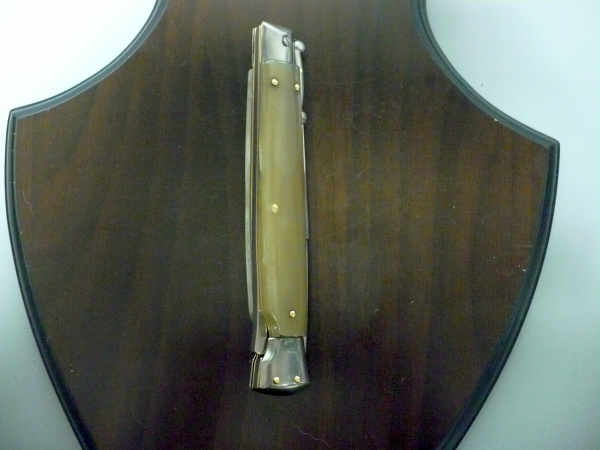 Swinguard Frank Beltrame - italian stiletto 28 cm - punta di corno di bufalo chiaro - lama baionetta  FB 550/48 -2
