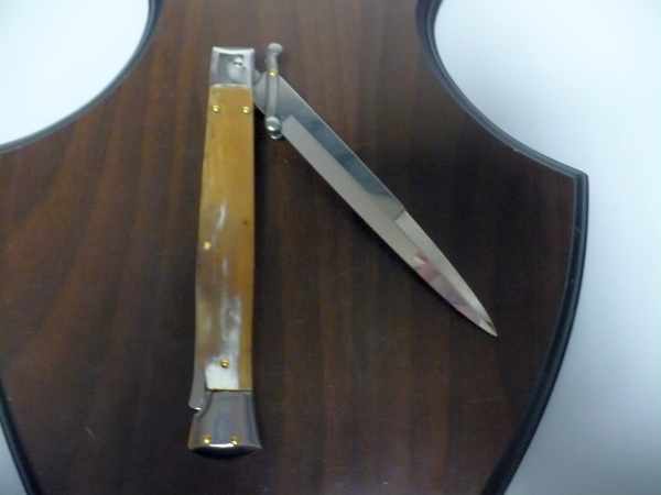 Swinguard Frank Beltrame - italian stiletto 28 cm -bufalo chiaro - baionetta -  FB 550/48B - 9