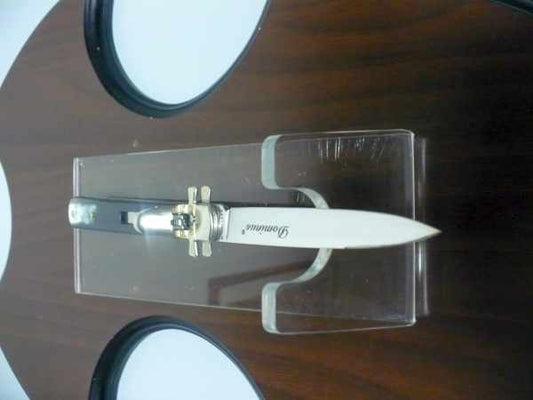 Dominus A.G.A. Campolin "The Lord"- italian stiletto 23 cm - brazilian buffalo horn - 1