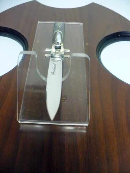 Dominus A.G.A. Campolin "The Lord"- italian stiletto 23 cm - brazilian buffalo horn - 1