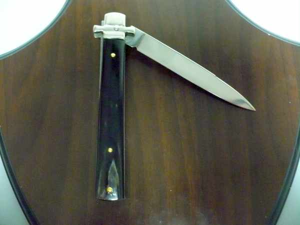 Dominus A.G.A. Campolin "The Lord"- italian stiletto 23 cm - brazilian buffalo horn - 2