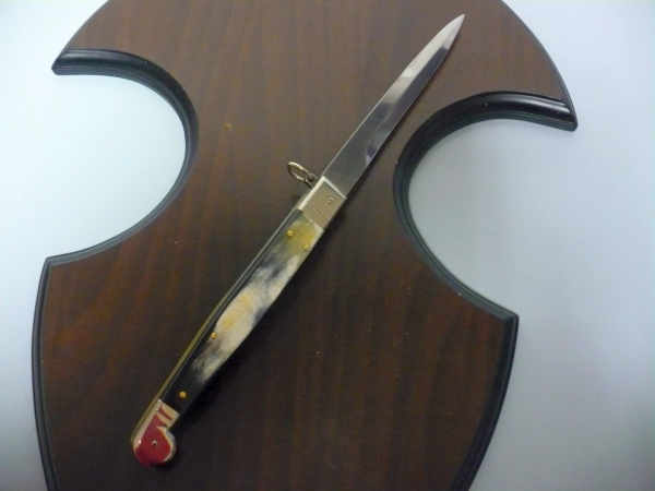 Siciliano A.G.A. Campolin sicilian fighting - italian stiletto 30 cm - brazilian buffalo horn - 4