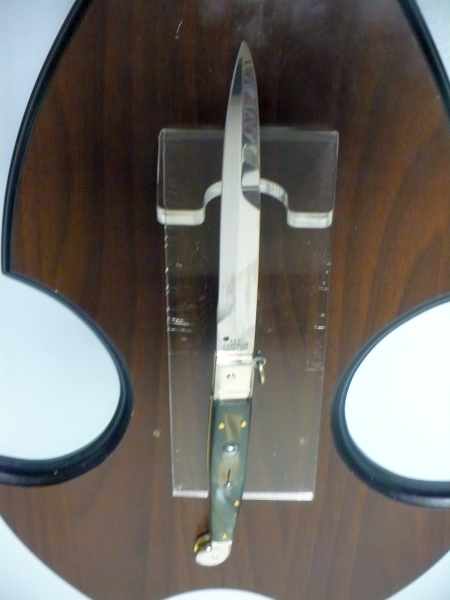 Siciliano A.G.A. Campolin sicilian fighting - italian stiletto 30 cm - brazilian buffalo horn - 7