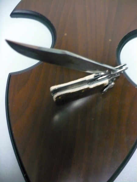 A.G.A.Campolin - Wild boar knife , pugnale- 30 cm , taglio cliassico clip piont - corno di cervo / deer horn